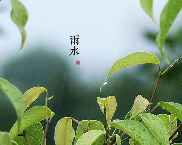 雨水節氣祝福語圖片唯美