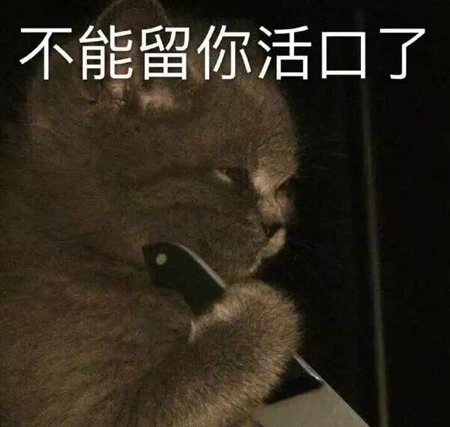 用你所學的專業優雅懟人文案