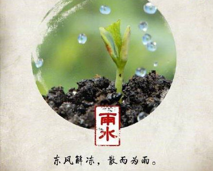 雨水節氣圖片帶字唯美