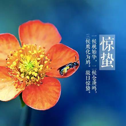 關于驚蟄優美的句子