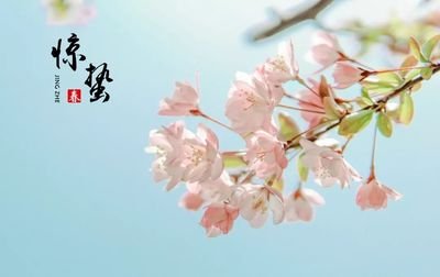 描寫驚蟄節氣的詩句