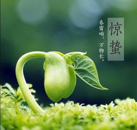 關于驚蟄節氣10字詩句