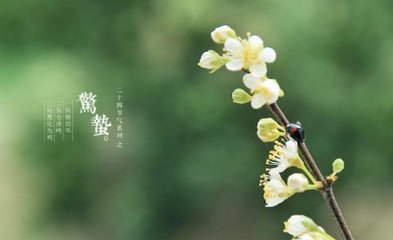 關于驚蟄節氣8個字的詩句