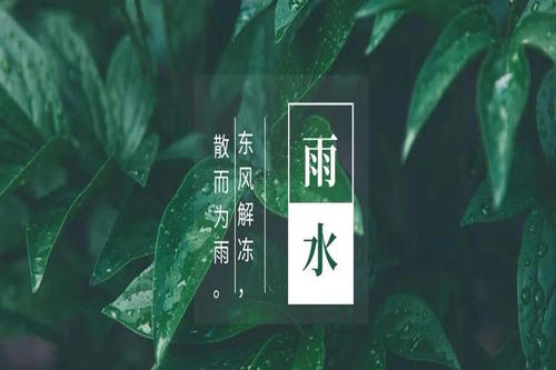 雨水節氣祝福語集錦
