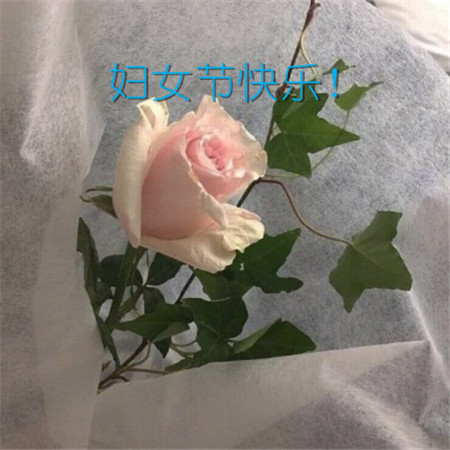 三八婦女節祝福的句子