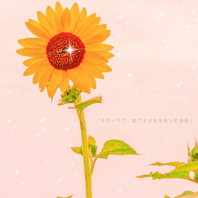 特別現實透徹的句子