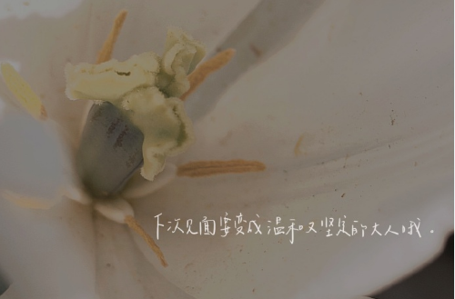 高級有內涵的句子