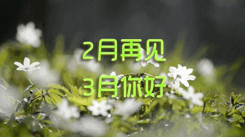 二月再見三月你好心語圖片