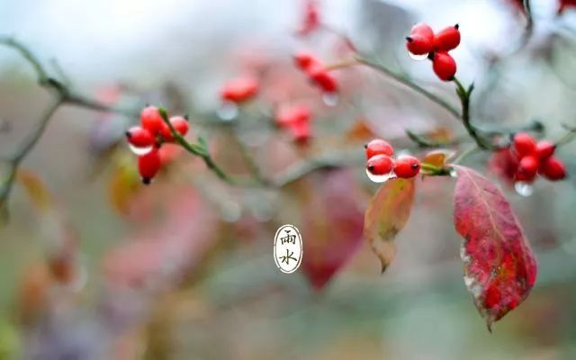 雨水節氣發朋友圈說說