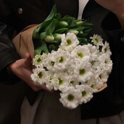 仙到極致的溫柔句子