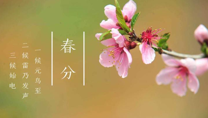 二十四節氣春分的句子