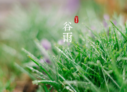 描寫谷雨的唯美句子