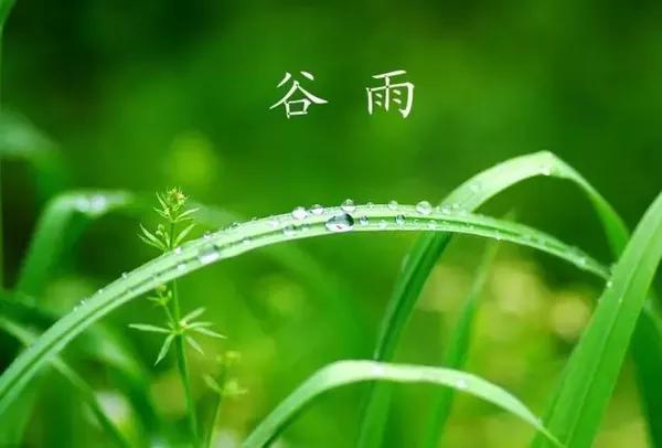 谷雨節氣的由來