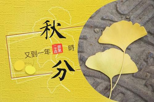 適合秋分發的說說