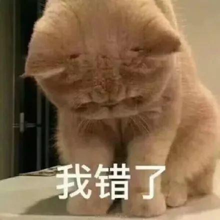 和男朋友說對不起的句子 和男朋友說對不起的句子