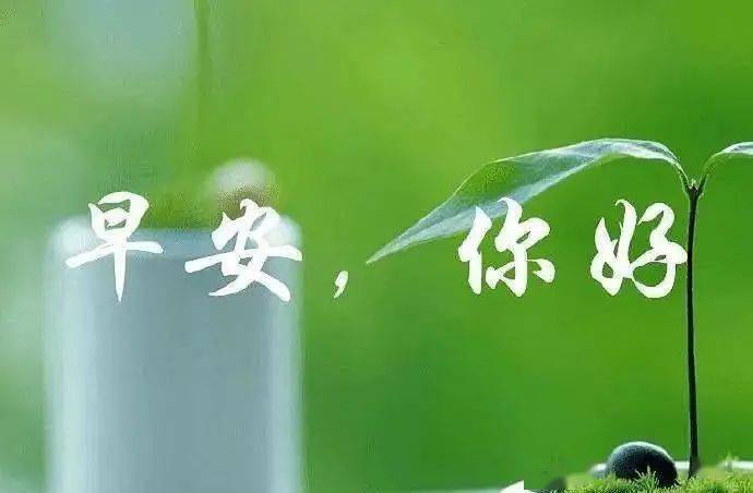 早上發的早安正能量簡單一句話 每日晨語勵志短句 早上發的早安正能量簡單一句話 每日晨語勵志短句