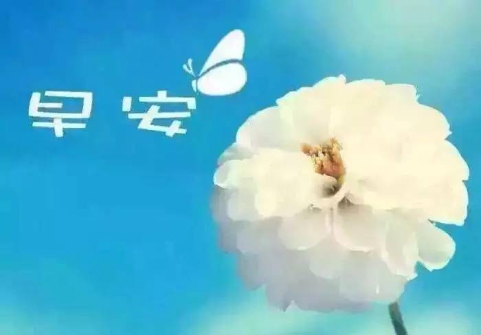 適合發朋友圈早安勵志的句子 適合發朋友圈早安勵志的句子