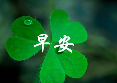 適合早上發圈的正能量句子 適合早上發圈的正能量句子