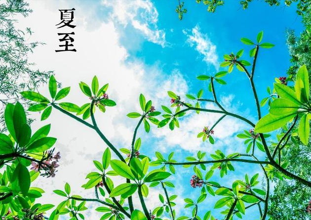 夏至唯美語錄