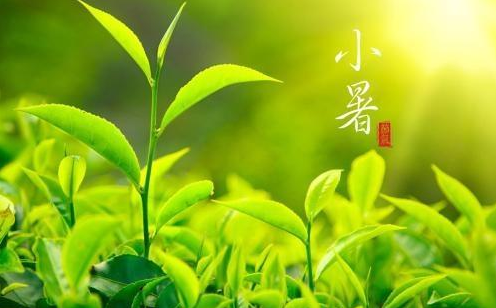 描寫小暑的唯美句子 描寫小暑的唯美句子