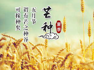 關于芒種的古詩10首
