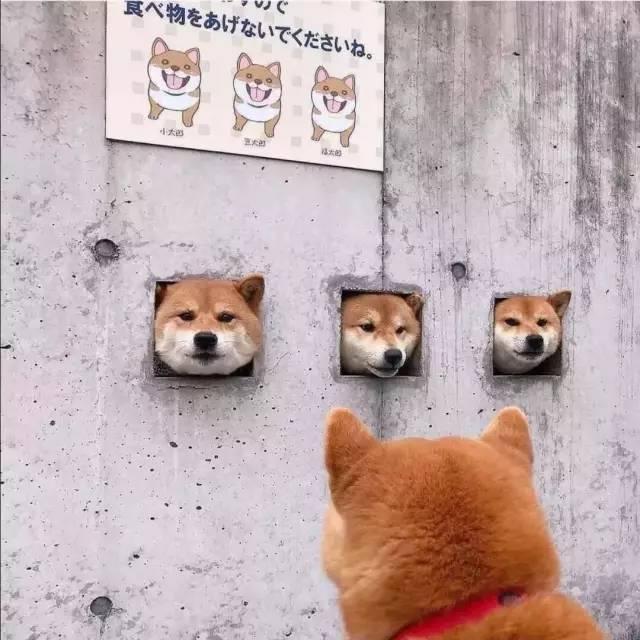 朋友圈創意搞笑文案 超級搞笑的說說 朋友圈創意搞笑文案 超級搞笑的說說